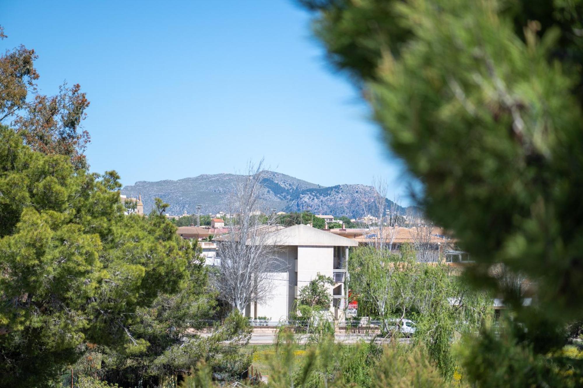 Apartamento Minerva Alcudia  Exterior photo